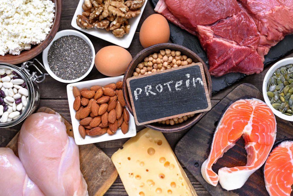 رجيم البروتين لانقاص الوزن بطريقة سريعة 
