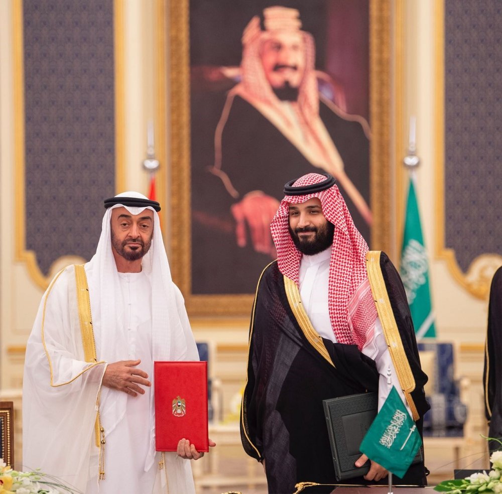 الأمير محمد بن سلمان والشيخ محمد بن زايد يقران الهيكل التنظيمي للمجلس