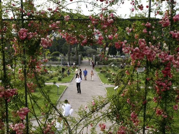 حدائق الورود في روما ROSETO MUNICIPALE، روما بواسطة Amarens Elise