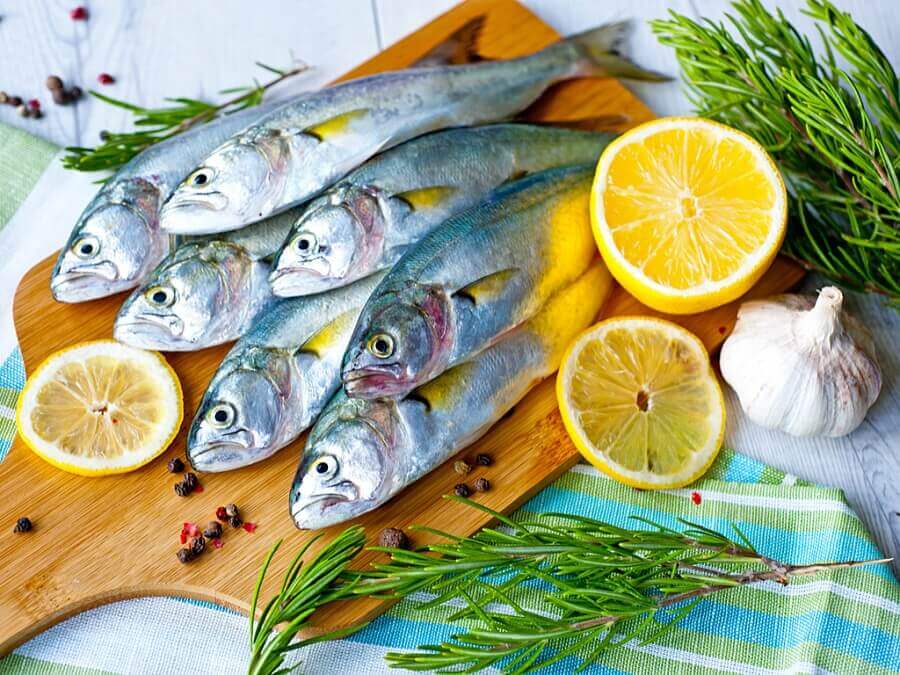 الاسماك الدهنية من الاطعمة المهمة للتغذية السليمة لكبار السن في رمضان