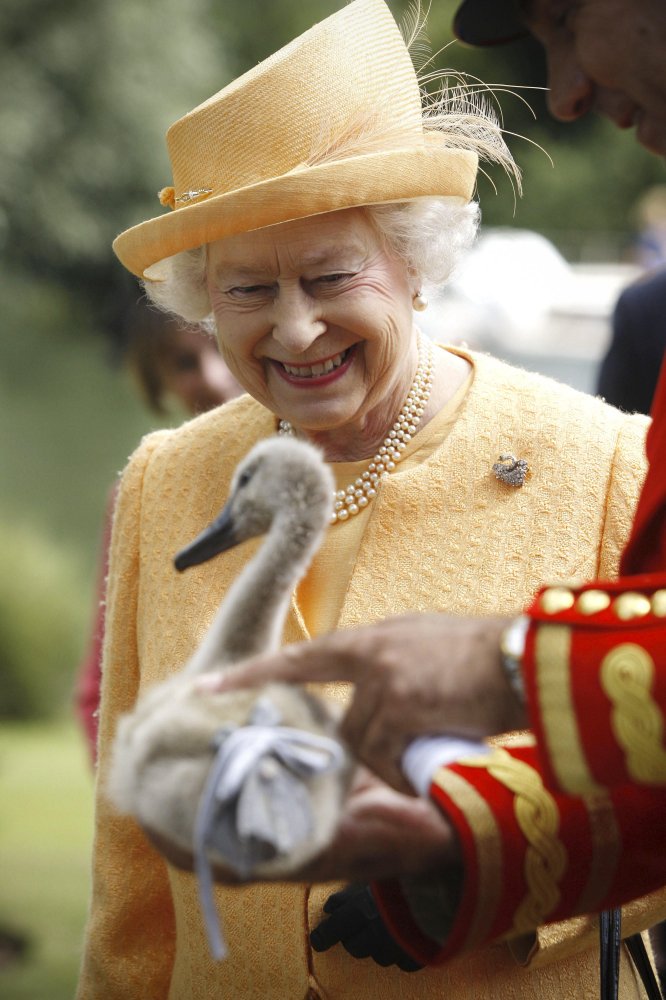 تعرف على الحيوانات التي تمتلكها ملكة بريطانيا
