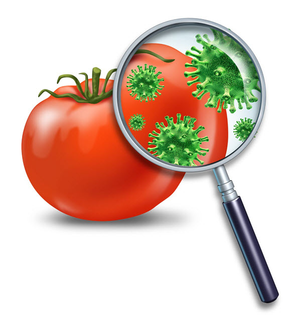 تتغلغل الجراثيم في الاطعمة غير النظيفة و غير المغسولة جيدا ما يؤدي للتسمم الغذائي