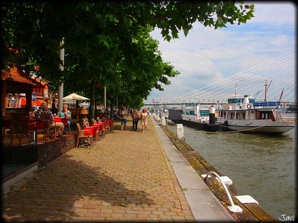  روتردام تضم أوقات مميزة لعطلات الصيف بواسطة Jose A