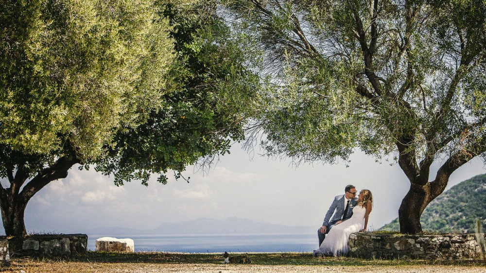 زفافك مميز برومانسية أشجار الزيتون