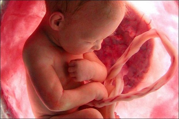 صور زيادة حركة الجنين في الشهر التاسع