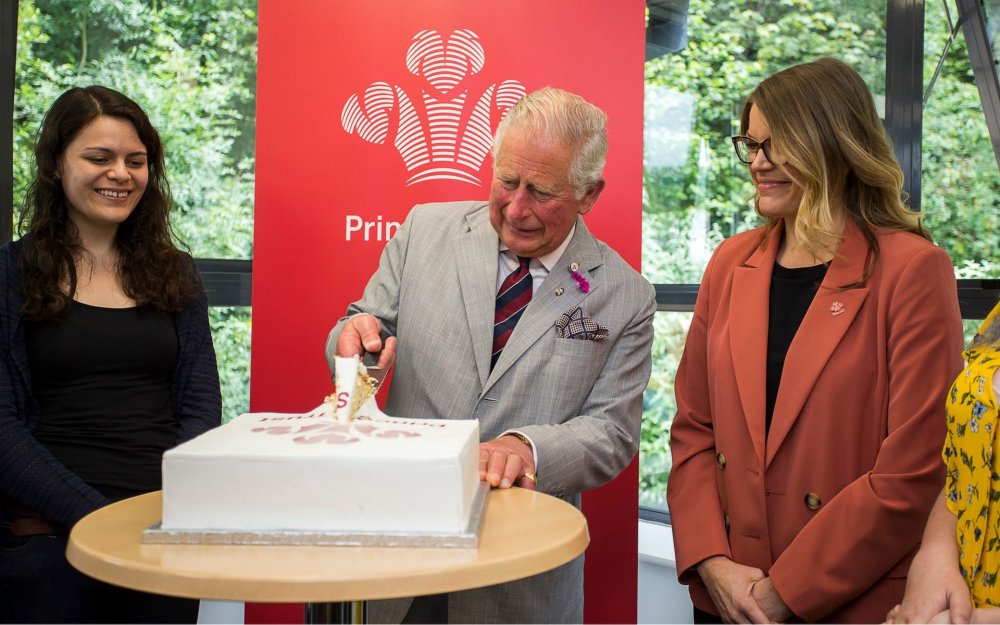 الأمير تشارلز يحتفل بذكرى مرور 50 عام على تنصيبه أميرا لويلز