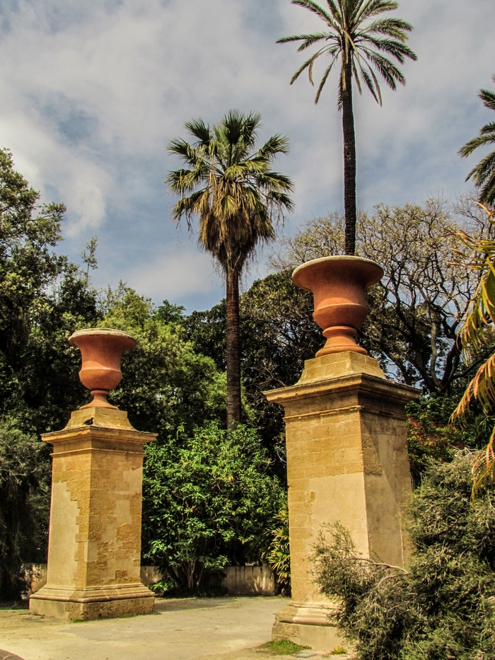 حدائق باليرمو النباتية Palermo Botanic Gardens، باليرمو بواسطة Tim Cooper