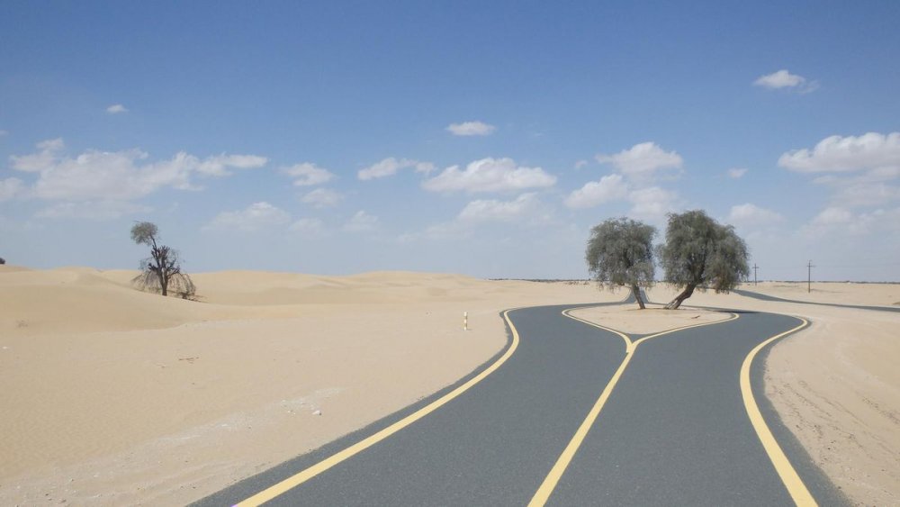 ركوب الدراجات حول بحيرات القدرة.. أنشطة سياحية خارجية في الإمارات