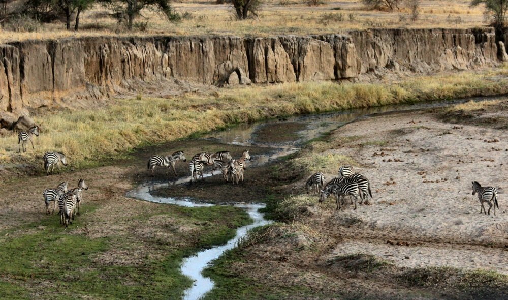 منطقة نجورونجورو المحمية Ngorongoro Conservation Area Park-joel herzog