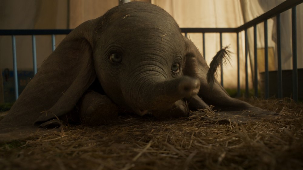لقطة من Dumbo