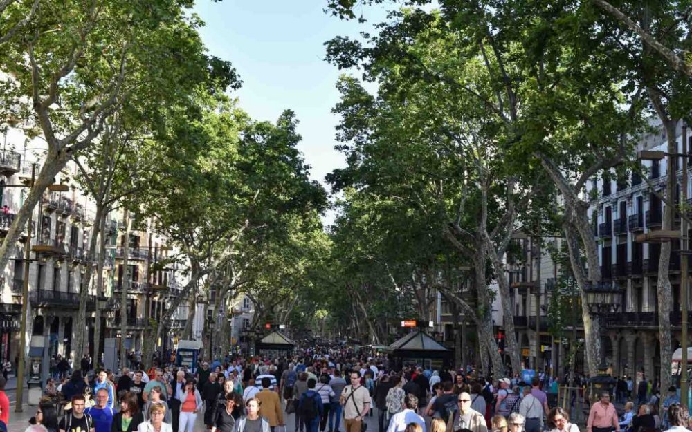 يعتبر لا رامبلا من اشهر شوارع التسوق في برشلونة