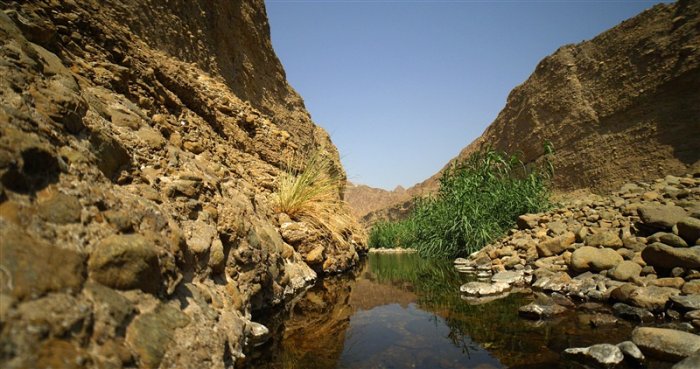 محمية وادي الوريعة وجهة إماراتية ساحرة - المصدر وزارة التغير المناخي والبيئة