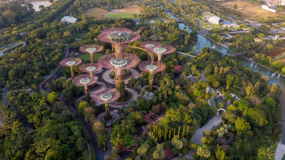  أجمل المدن السياحية الخضراء 2021.. سنغافورةSergio Sala