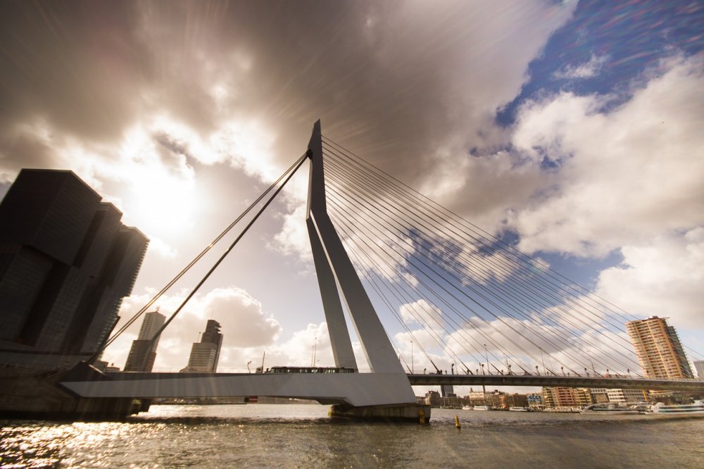 جسر ايراسموس من أجمل أماكن سياحية في روتردام بواسطة Cassi Zamor