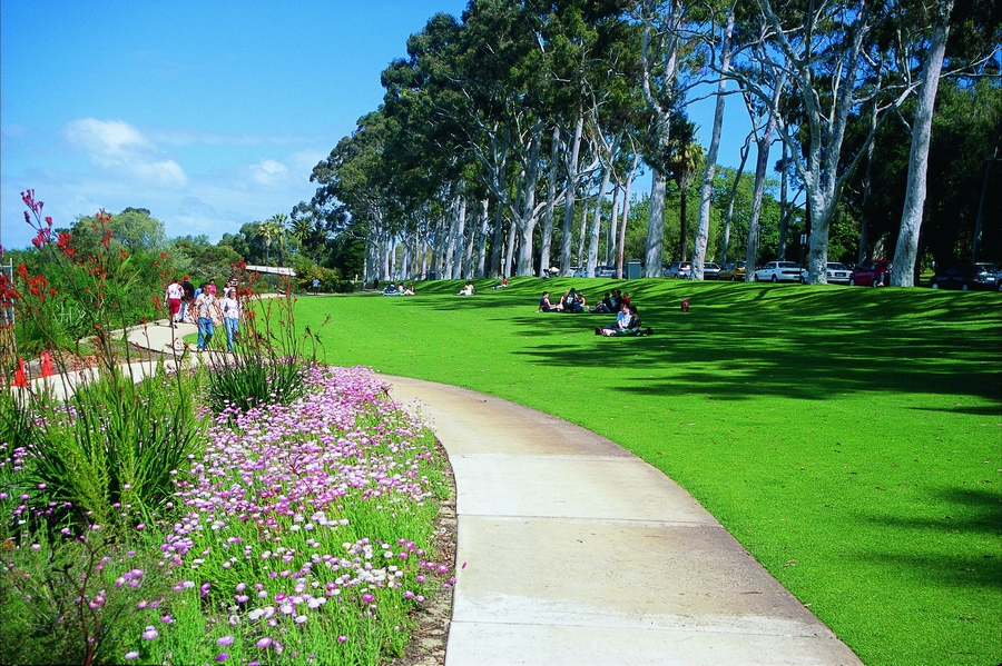حدائق كيجز بارك والحدائق النباتية Kings Park & Botanic Gardens، ولاية أستراليا الغربية 