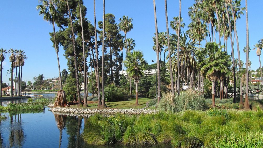  روعة الحدائق في لوس انجلوس betsymhall