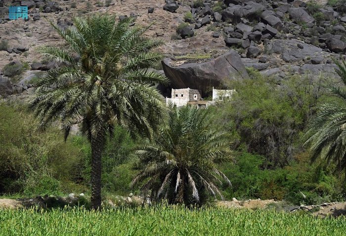 الطبيعة البكر في قرى المجاردة - المصدر وكالة الانباء السعودية