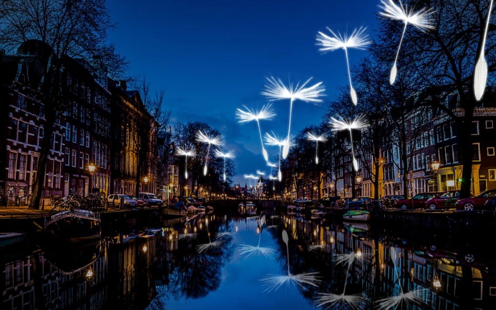 مهرجان الأضواء في أمستردام