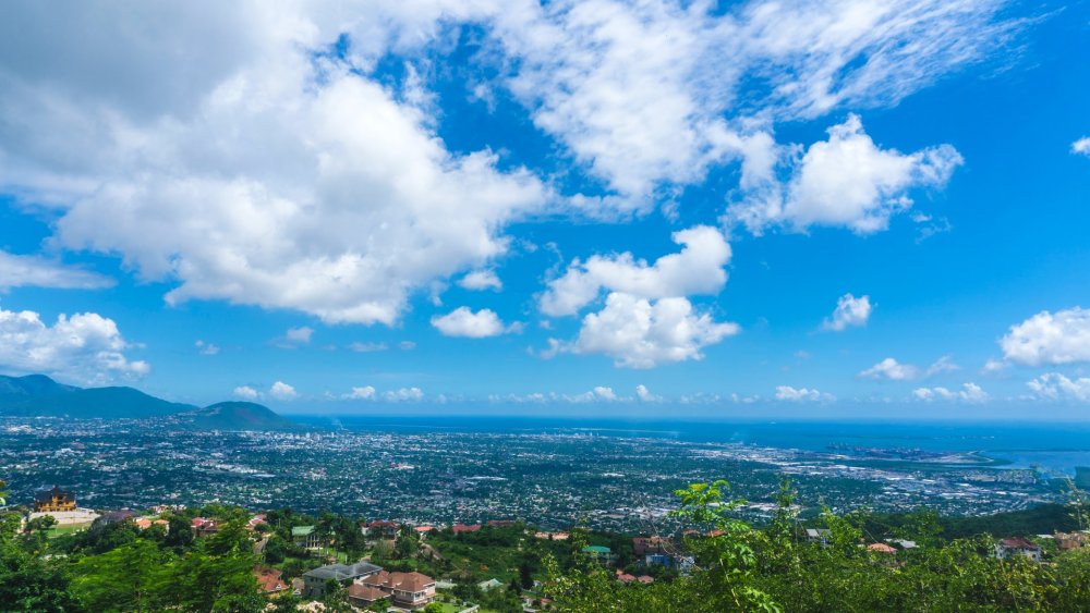  مشهد مطل على عاصمة جامايكا - Ricardo Reid