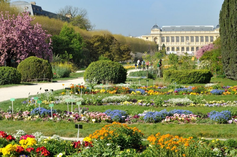 حديقة النباتات في نانت Jardin des Plantes-Daphné Be Frenchie