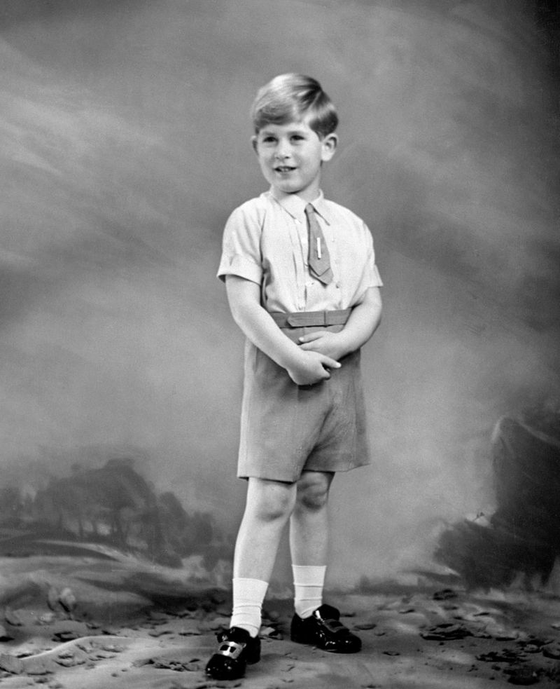 الأمير تشارلز في أول صورة رسمية بعد أن أصبح وريث لعرش بريطانيا
