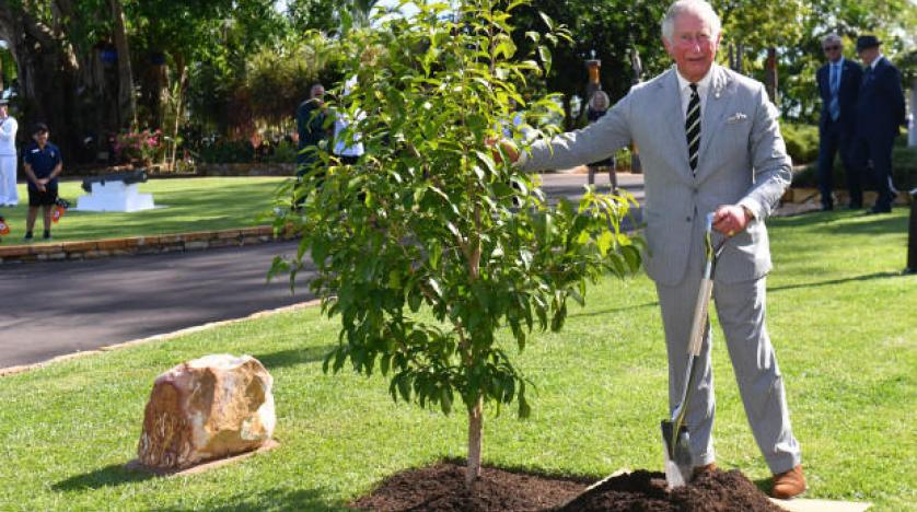 الأمير تشارلز يحب زراعة الأشجار