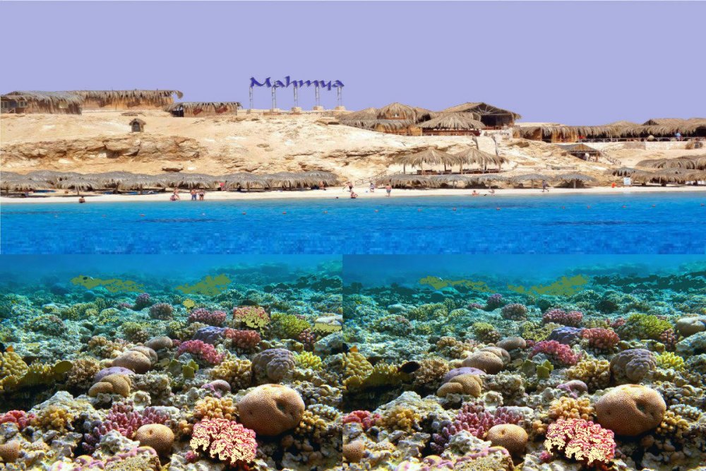 جزيرة المحمية Mahmya Island 
