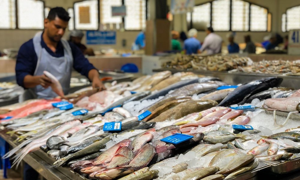  سوق مينا زايد للأسماك