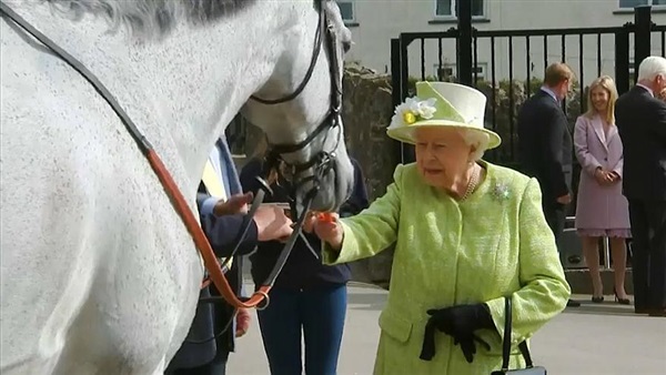 الملكة إليزابيث الثانية تطعم حصان في سومرست بغرب إنجلترا