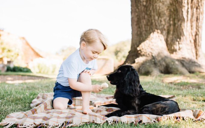 الأمير جورج وهو يطعم الكلب لوبو آيس كريم