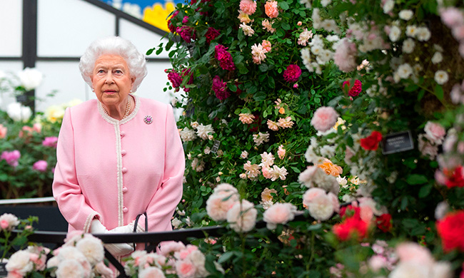 الملكة تستمتع في الذهاب إلى معرض تشيلسي للزهور