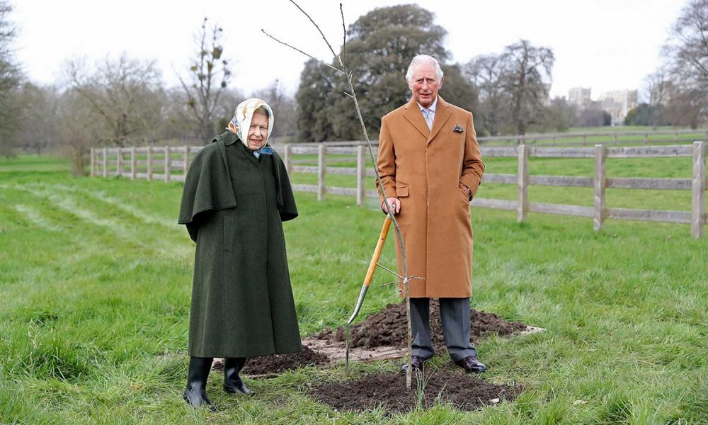 الملكة والأمير تشارلز يزرعان الشجرة الأولى في المبادرة