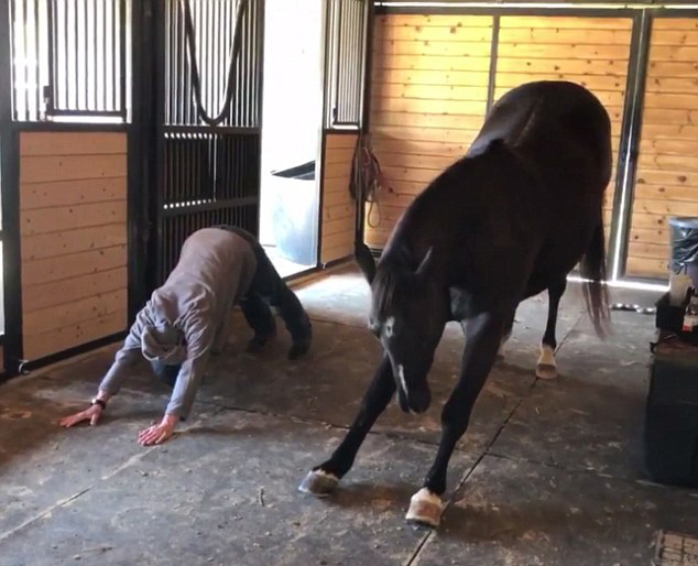 حصان يؤدي اليوجا مع صاحبه بإتقان