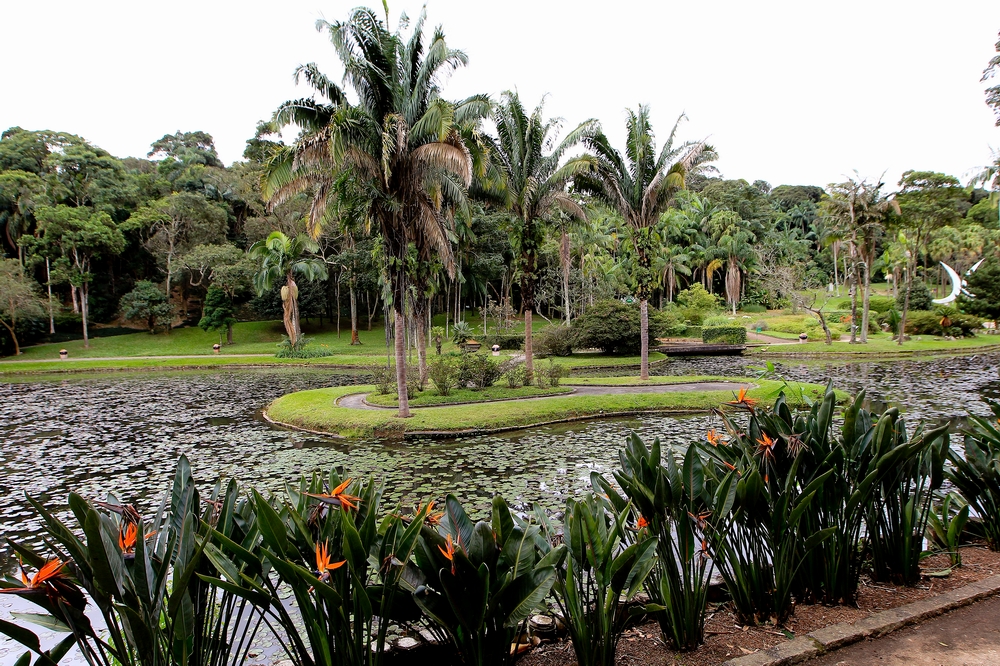 جارديم بوتانيكو Jardim Botânico، ساو باولو