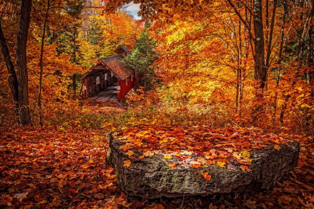 نصائح لالتقاط أجمل الصور أثناء الرحلات في الخريف - Dennis Buchner