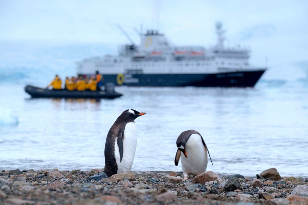 السياحة في آنتاركتيكا.. رحلات سياحية في 2021 Derek Oyen