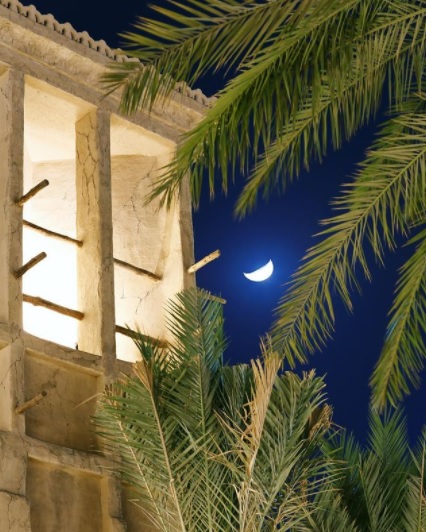 القمر يلمح في سماء دبي ويرسم لوحة فريدة مع سعف النخيل