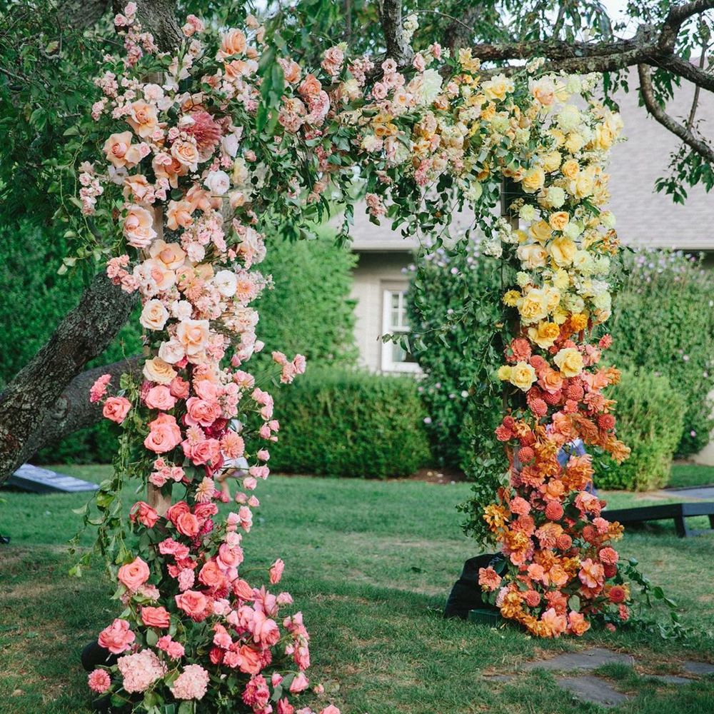 مدخل من الزهور لحفلات الأعراس الخارجية