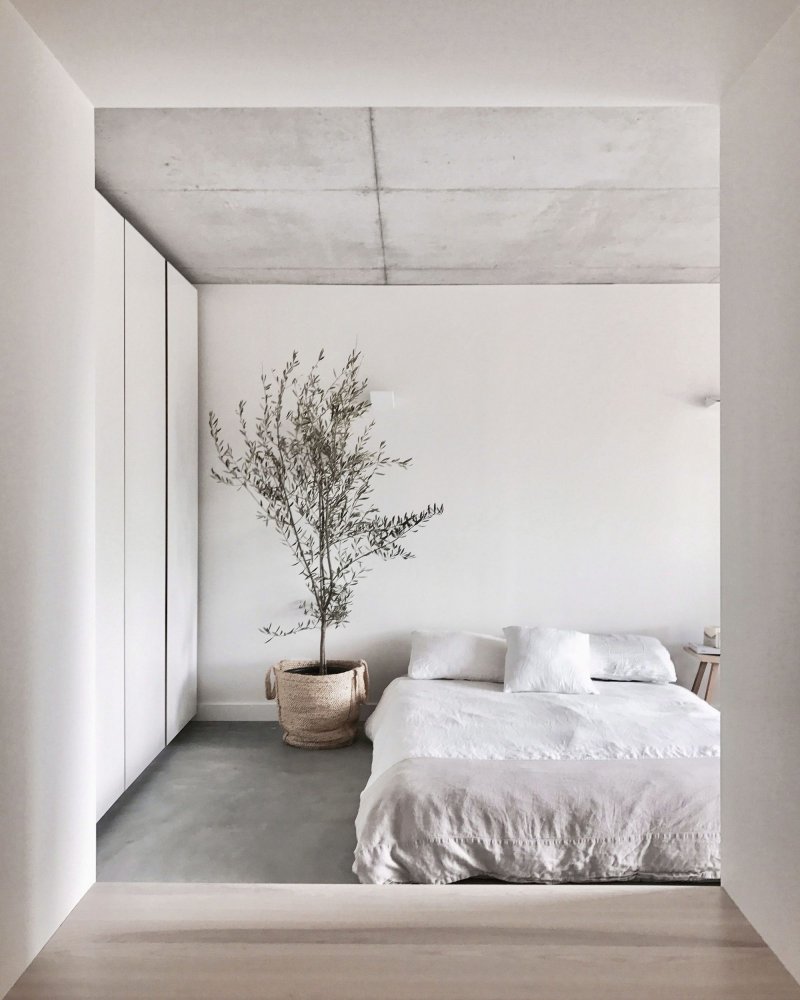 حوض نباتات مميز الاكسسوار الوحيد في غرفة نوم minimalist