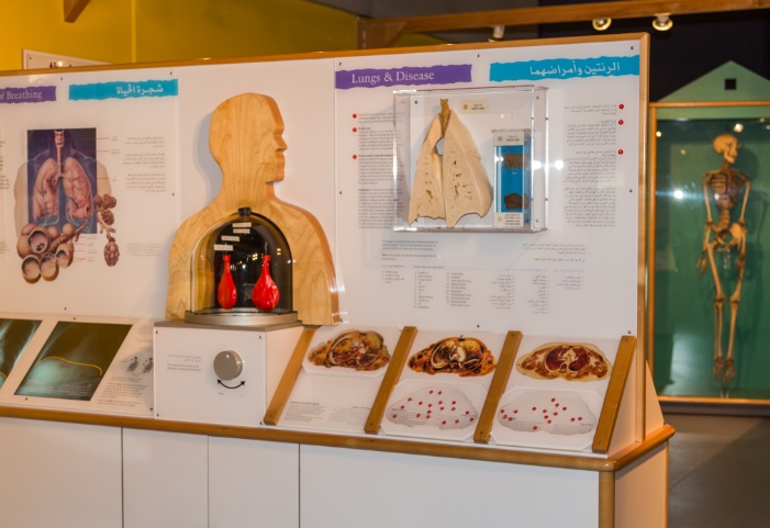 وكافة العلوم الإنسانية تقدم بشكل مبتكر في متحف الشارقة العلمي- المصدر هيئة الشارقة للمتاحف