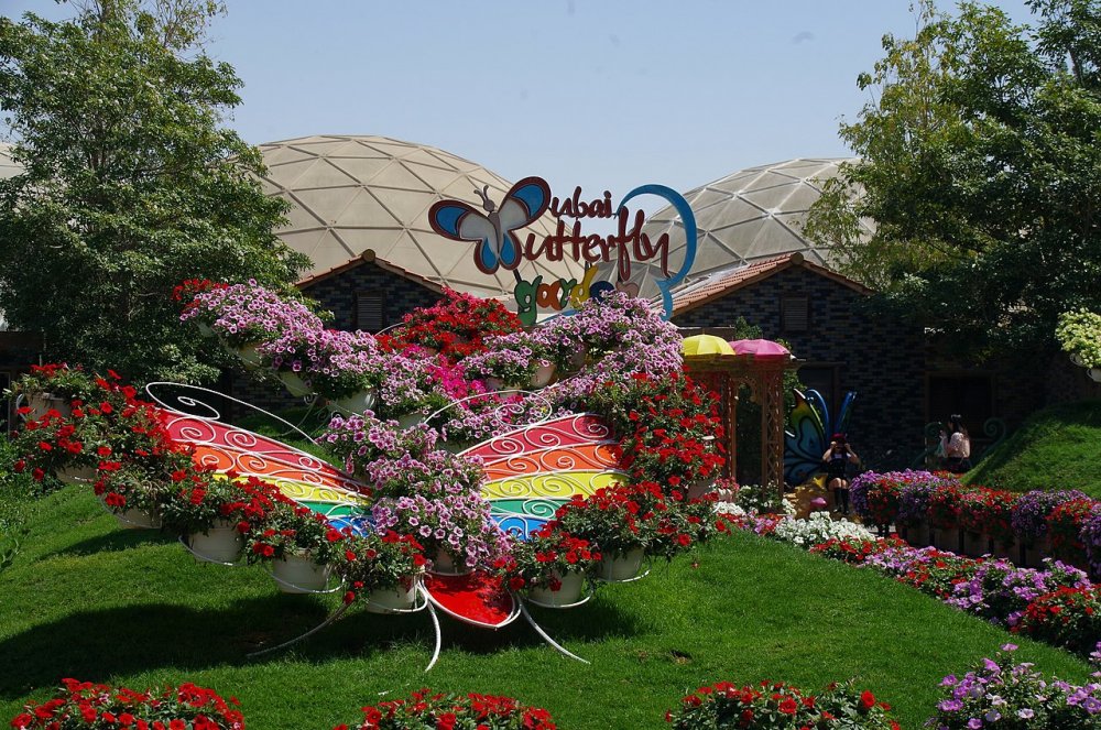 حديقة الفراشات من أجمل حدائق للعوائل في دبي بواسطة Balou46