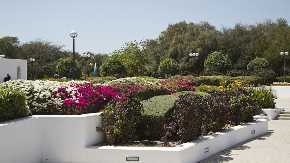 حديقة الممزر من أفضل حدائق للعوائل في دبي بواسطة trolvag