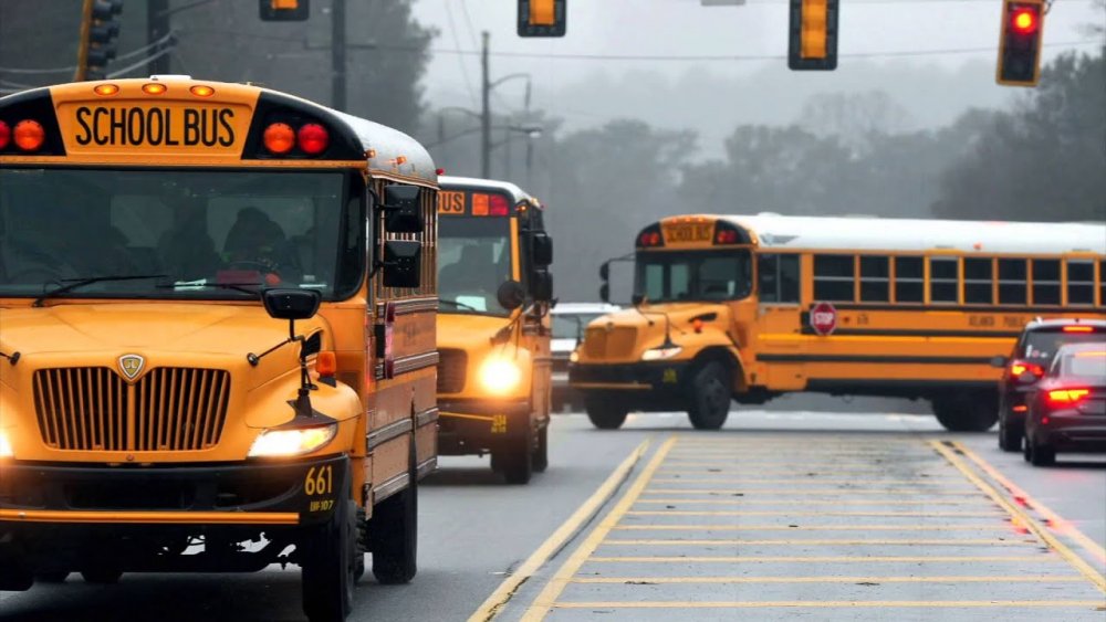 كيف يمكنك القيادة بأمان حول حافلات المدارس؟