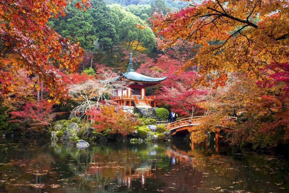  مدينة كيوتو اليابانية .. اجمل وجهات شهر العسل في الخريف