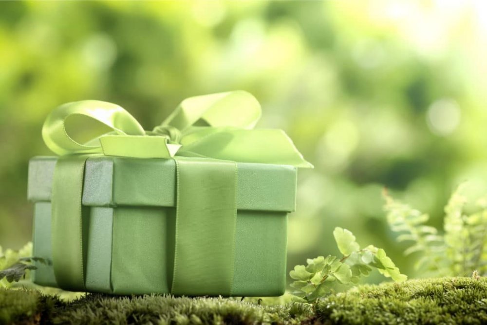 يمكن تقديم اي هدية في صندوق اخضر