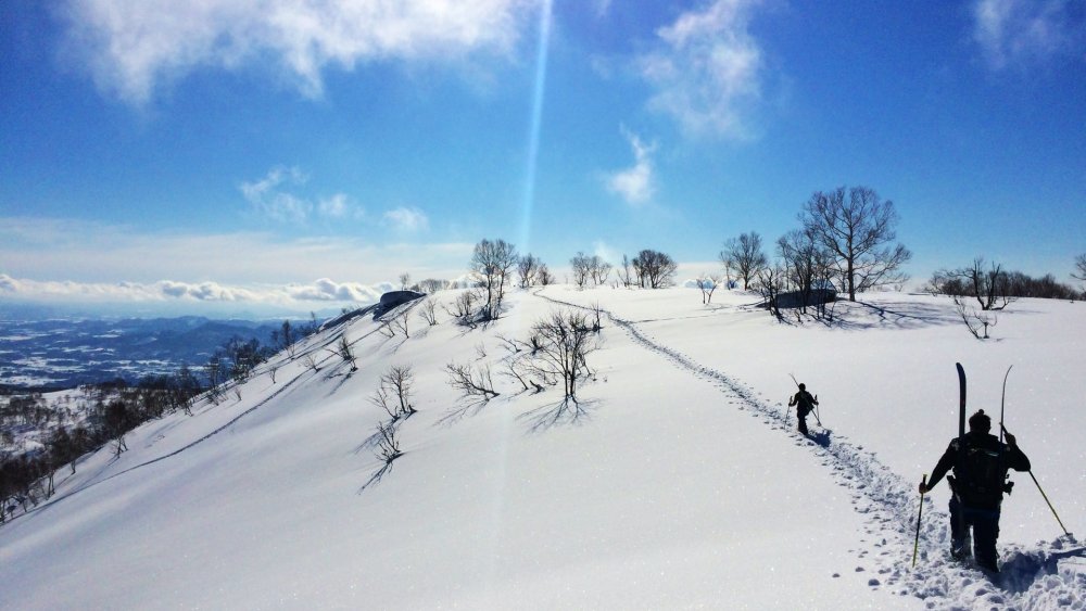 نيسيكو في اليابان بين أفضل منتجعات التزلج في 2021 - Oliver Dickerson