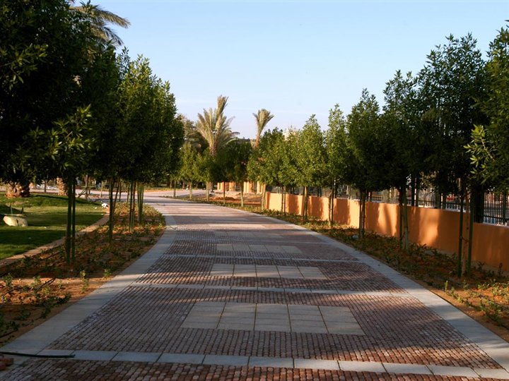 المساحات الخضراء تغطي منتزه سلام - المصدر الهيئة الملكية لمدينة الرياض 