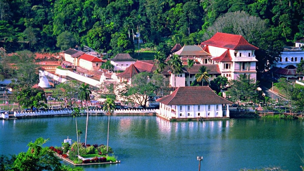  وجهات سياحية رخيصة يمكن السفر إليها في بداية العام - سريلانكا