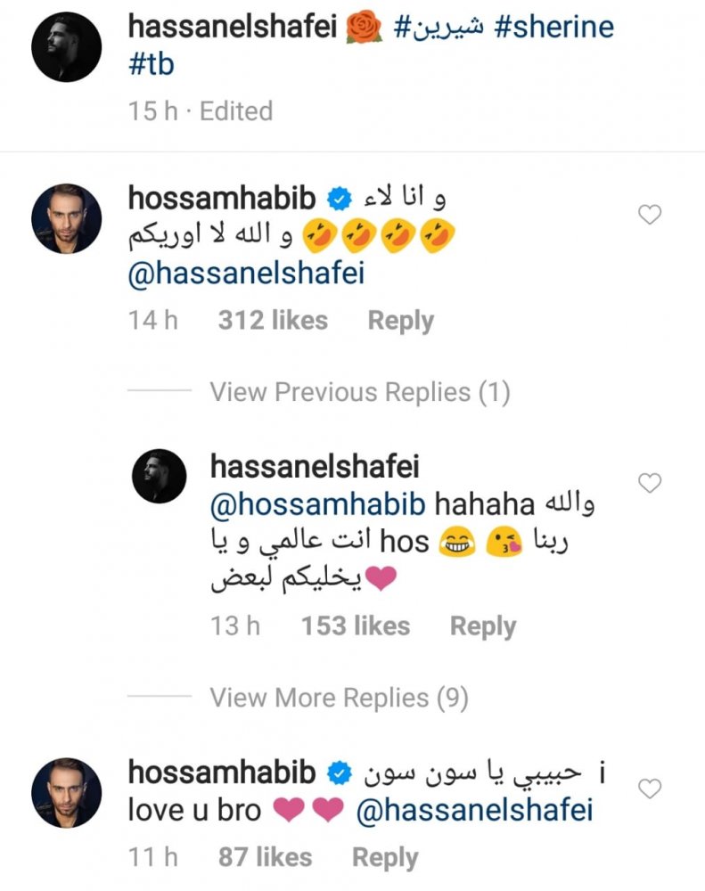 حسام حبيب وحسن الشافعي