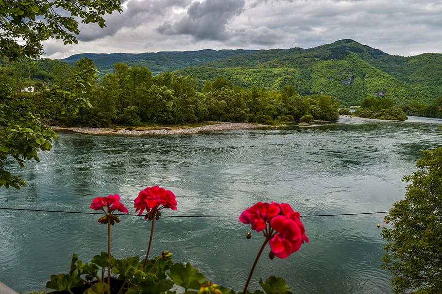 سحر الطبيعة على نهر الدانوب في صربيا بواسطة pxfuel